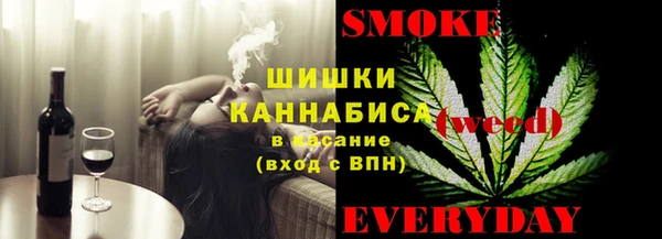 дурь Осташков