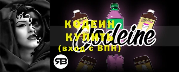 дурь Осташков