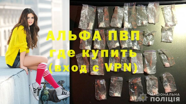 дурь Осташков
