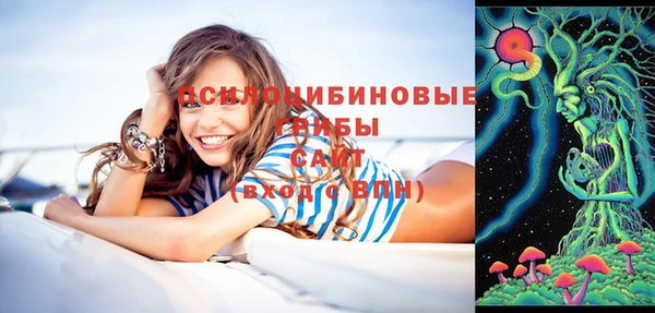 mdpv Нязепетровск
