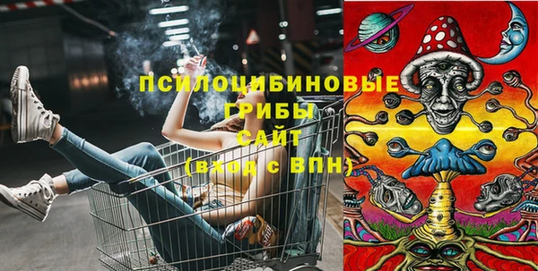 не бодяженный Осинники