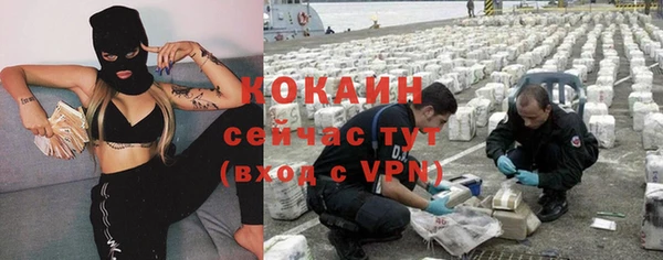 дурь Осташков