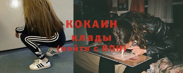 дурь Осташков