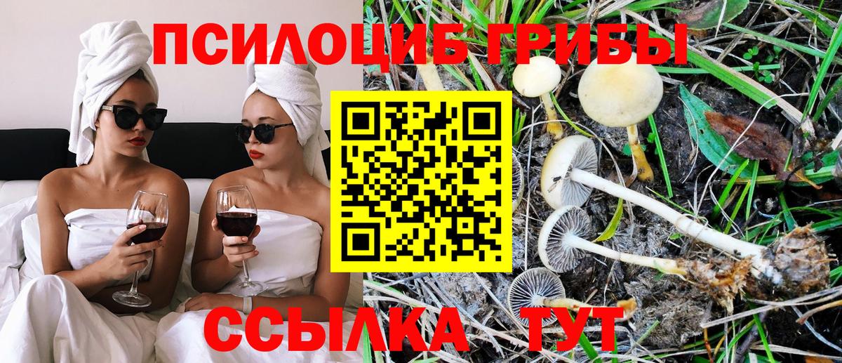 Псилоцибиновые грибы GOLDEN TEACHER Ирбит
