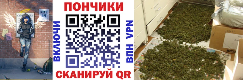 Бошки Шишки ГИДРОПОН Ирбит
